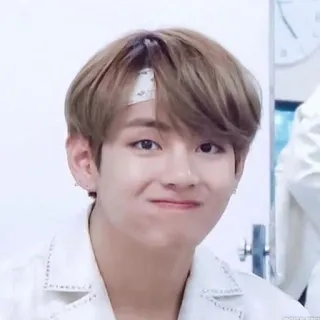 🦋 V BTS, K-pop, Idol, Pop coreano, Cantante, V telegram sticker