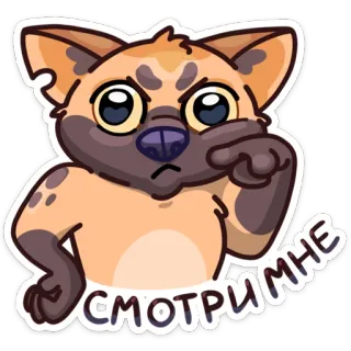 😠 СМОТРИМ МНЕ cartoon, animal, dog, sticker, hyena whatsapp sticker