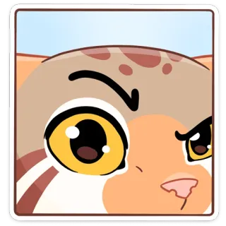 👁 gato, animal, pegatina, dibujos animados, lindo, enojado, kawaii telegram sticker