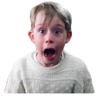 😱 Kevin McCallister Home Alone impactado, asustado, niño, meme, divertido, escena de película, mi pobre angelito whatsapp sticker
