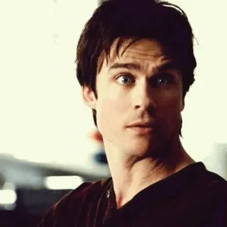 🦇 Damon Salvatore The Vampire Diaries mężczyzna, portret, aktor, Damon Salvatore, Pamiętniki wampirów, wampir, serial TV telegram sticker