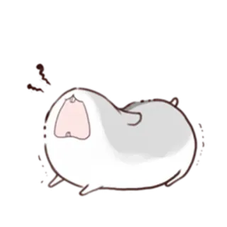 😲 chat, mignon, animal, dessin animé whatsapp sticker