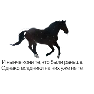 🐎 И нынче кони те, что были раньше
Однако, всадники на них уже не те horse, animal, russian, quote, nature telegram sticker