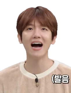 😮 (발음 korean, person, man, portrait, face, asian telegram sticker