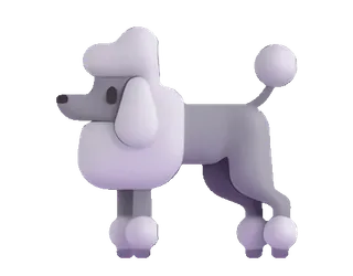 🐩 poodle, dog, animal, pet, domestic animal, cute, cartoon dog, gray poodle telegram sticker