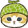 🐱