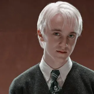 🪐 Draco Malfoy Harry Potter Draco Malfoy, Harry Potter, Sonserina, Mago, Tom Felton, Uniforme escolar, Loiro telegram sticker