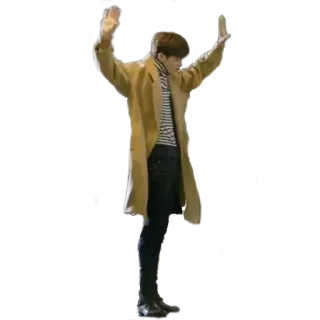🙌 uomo, cappotto, persona, in piedi, braccia alzate telegram sticker