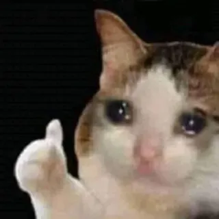 👍 cat, sad, thumbs up, meme, animal whatsapp sticker