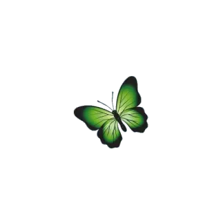 🦋 ผีเสื้อ, สีเขียว, ธรรมชาติ, แมลง, สัตว์, ฤดูใบไม้ผลิ, ฤดูร้อน telegram sticker