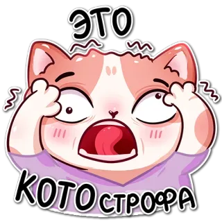 ✨Котики-Медики✨ whatsapp stickers