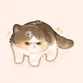 ✨ gato, fofo, animal, adesivo, bravo, adorável telegram sticker