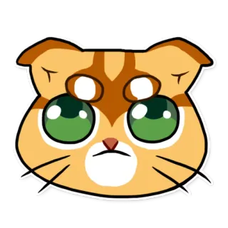 🙄 gato, lindo, pegatina, dibujo animado, animal, mascota whatsapp sticker