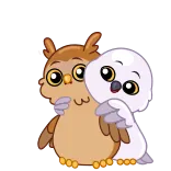 🤗 gufo, uccello, carino, kawaii, animale, cartone animato, amicizia telegram sticker