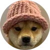 🐶