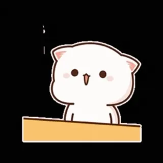 🎈 kat, schattig, kawaii, dier, witte kat, cartoon whatsapp sticker