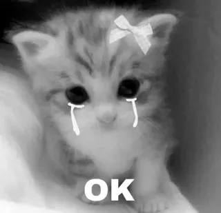 😐 OK telegram sticker