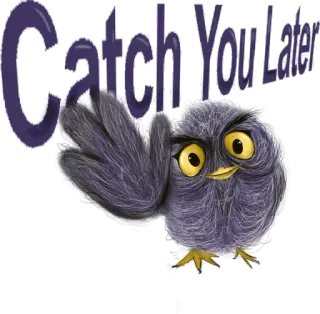 🖐 Catch You Later นก, นกฮูก, น่ารัก, การ์ตูน, เจอกันใหม่, ลาก่อน telegram sticker