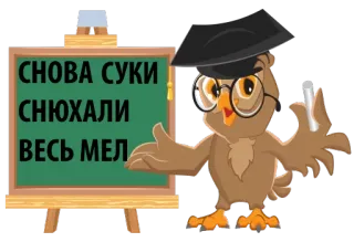 🐷 СНОВА СУКИ СНЮХАЛИ ВЕСЬ МЕЛ coruja, lousa, professor, insultante, ofensivo, russo whatsapp sticker