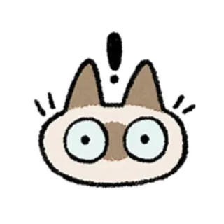 😺 gato, fofo, animal, chocado, surpreso telegram sticker