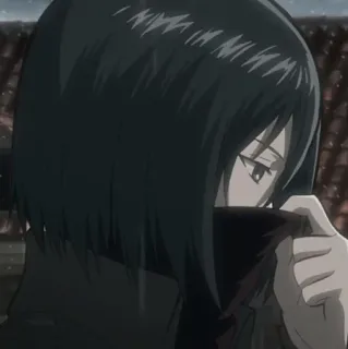 ❤️ Mikasa Ackerman Attack on Titan อนิเมะ, ตัวละคร, ผู้หญิง, จริงจัง, ผ้าพันคอ whatsapp sticker