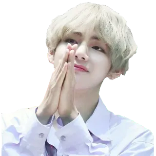 🙏 V kpop, 아이돌, 뷔, bts, 가수, 팬 telegram sticker