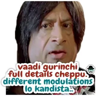 😊 vaadi gurinchi full details cheppu. different modulations lo kandista.. telegram sticker
