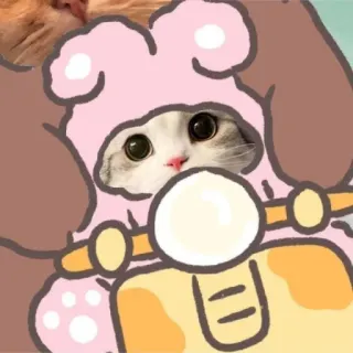 🌟 mèo, mèo con, dễ thương, động vật, thú cưng, xe máy, thỏ, tai telegram sticker