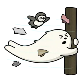 💨 foca, pinguino, cartone animato, animale, carino, divertente whatsapp sticker