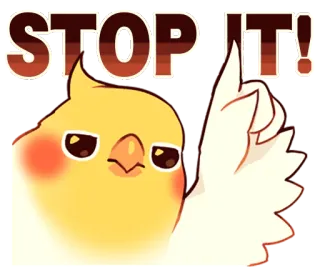 🈲 STOP IT! chim, vẹt mào, dừng, dễ thương, vui nhộn, meme telegram sticker