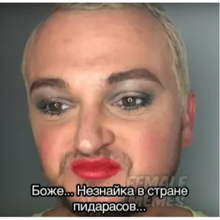 🙄 Боже... Незнайка в стране пидарасов... meme, offensive, russian, insult telegram sticker