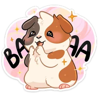 🤩 BAAAA モルモット, かわいい, ペット, 動物, ハムスター, げっ歯類 telegram sticker