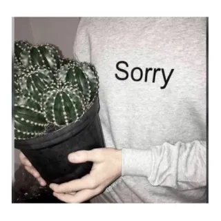 🌵 Sorry 謝罪, ごめんなさい, サボテン, 植物, 言い訳, グレーのスウェット telegram sticker