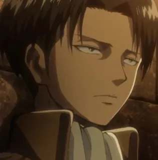 🌟 Levi Ackerman Attack on Titan Levi, Ackerman, L'Attacco dei Giganti, Anime, Cartoni animati telegram sticker
