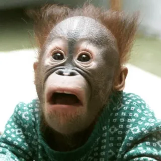 😦 orang-oetan, aap, aap, baby, schattig, dier telegram sticker