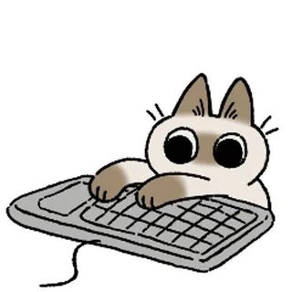 ⌨️ chat, ordinateur, clavier, dactylographie, inquiet, animal, dessin animé whatsapp sticker