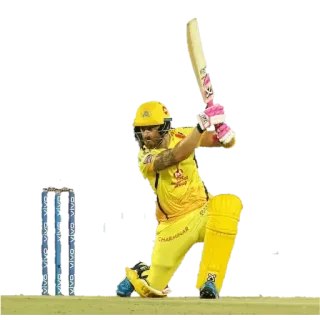 💫 Cricket, Sport, Batter, Spieler whatsapp sticker