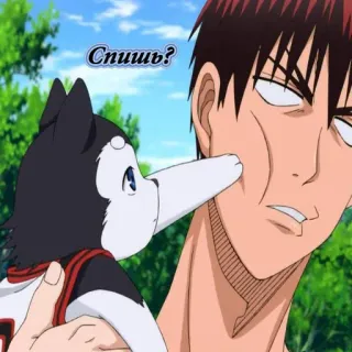👀 Спишь? anime, dog, cute, sleep, question, cheek telegram sticker