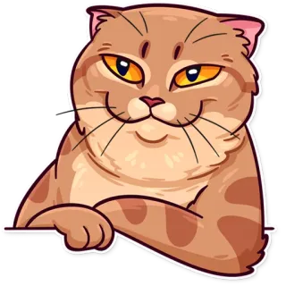 🙂 cat, cute, domestic, animal, pet telegram sticker