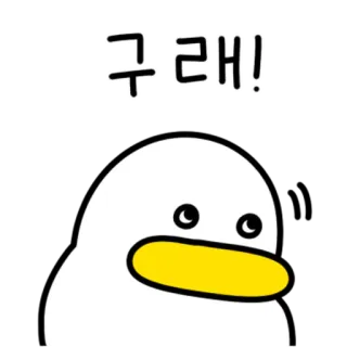 💬 그래! 鸭子, 韩语, 可爱, 动物, 问候, 动画 telegram sticker