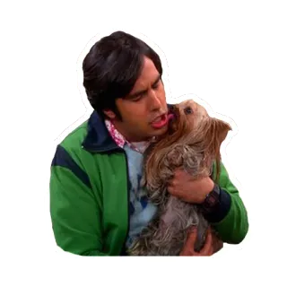 👳 Raj Koothrappali The Big Bang Theory dog, big bang theory, raj, tv show, pet telegram sticker