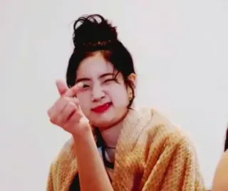 🐒 mujer, K-pop, retrato, gesto, sonriendo, persona, moño telegram sticker