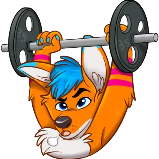 🏋️ renard, haltérophilie, exercice, furry, dessin animé, fitness, gym whatsapp sticker