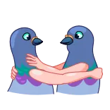 Birds telegram stickers