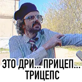 💪 ЭТО ДРИ... ПРИЦЕП... ТРИЦЕПС ███ telegram sticker