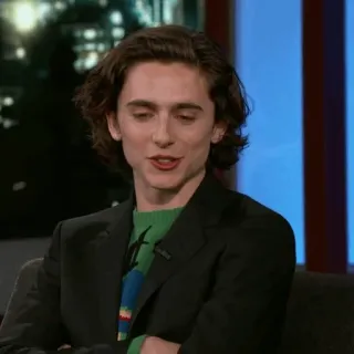 Armie hammer & timothee chalamet.🥀 whatsapp stickers
