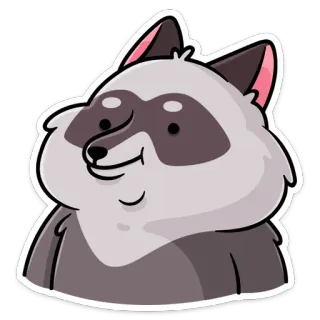 ☺️ binatang, rakun, mamalia, imut, stiker telegram sticker