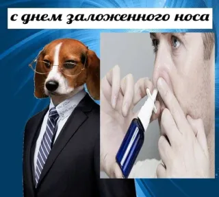 👃 с днем заложенного носа dog, suit, glasses, nasal spray, cold, congestion, humor telegram sticker