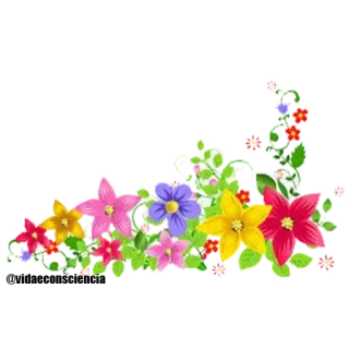 🌹 Blumen, Blumenmuster, Dekoration, Natur, Farbenfroh whatsapp sticker