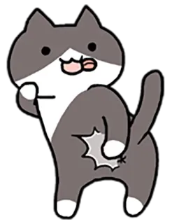😜 chat, doigt d'honneur, grossier, offensant, animal, autocollant, dessin animé whatsapp sticker